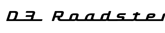 D3 Roadsterism Long Italic