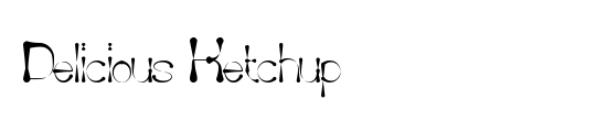 Delicious Ketchup