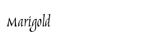Marigold