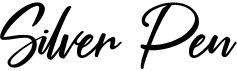 Silver Pen